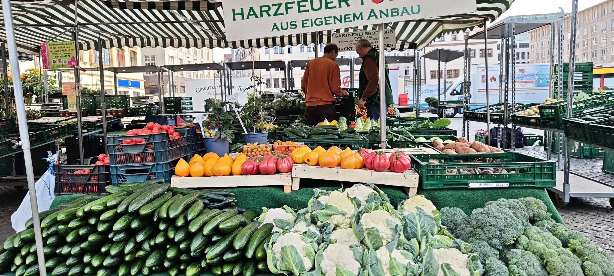 Gurken, Blumenkohl, Brokkoli und bunte Tomaten am Marktstand der Gärtnerei Brodkorb