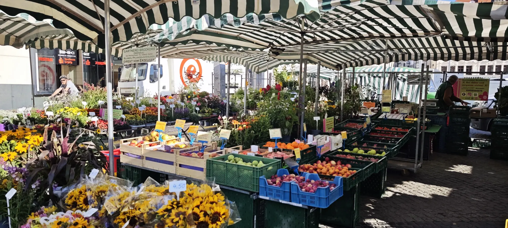 Blumen, Stauden und Sonnenblumensträuße am Marktstand der Gärtnerei Brodkorb
