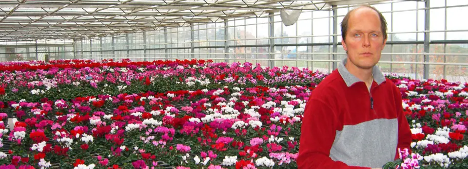 Steffen Hahn im Gewächshaus mit Cyclamen